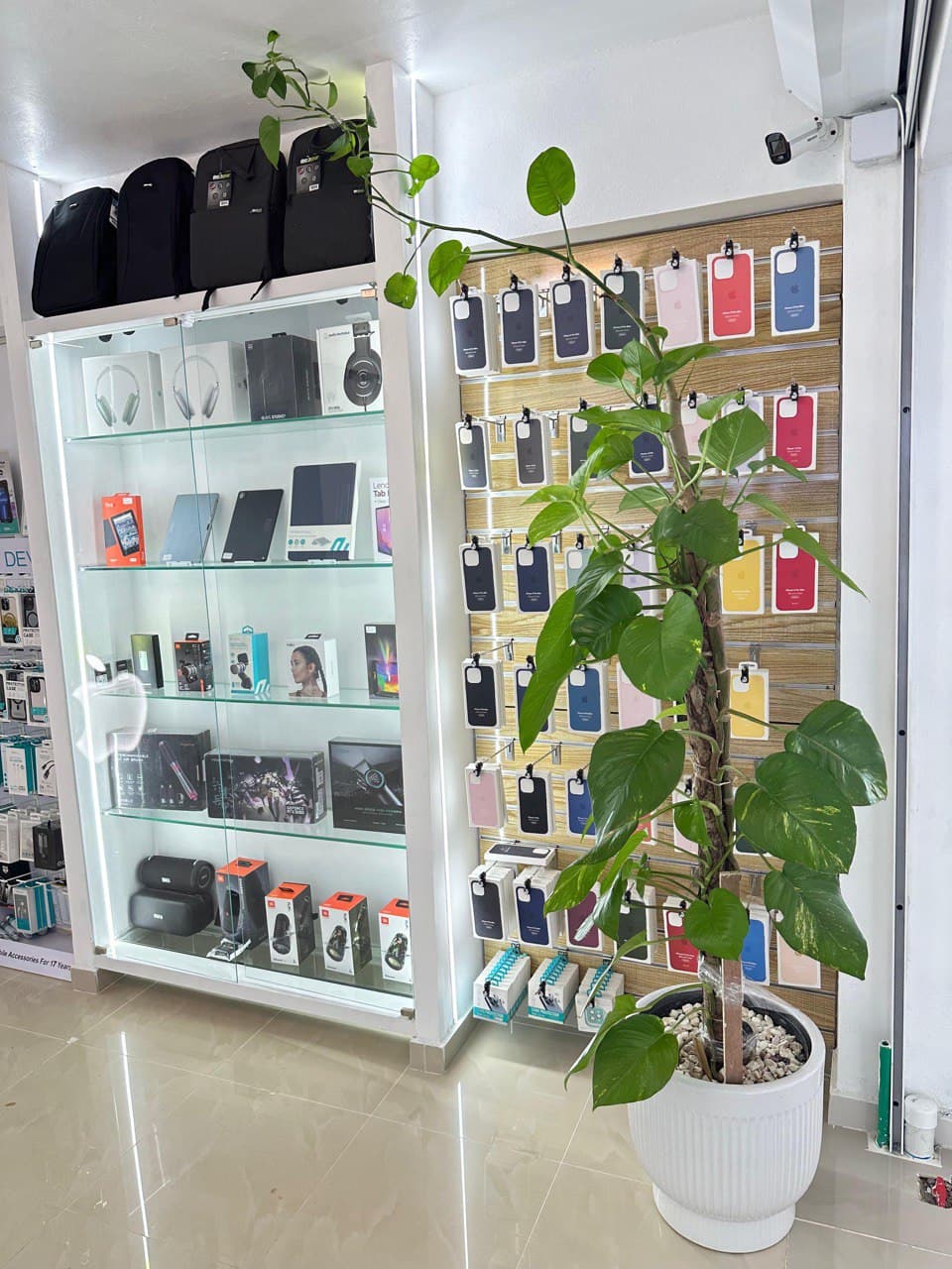 Pared de fundas y accesorios para celular